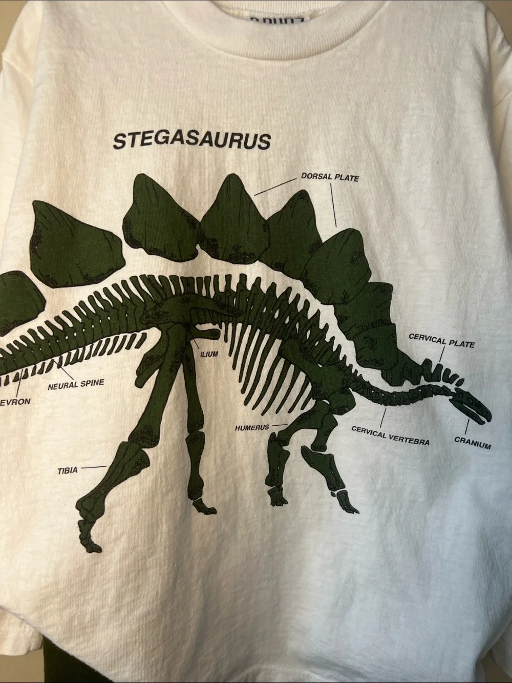 Vintage S.P.UDZ Stegasaurus Graphic Long-Sleeve Tee - White & Army Green - Kids